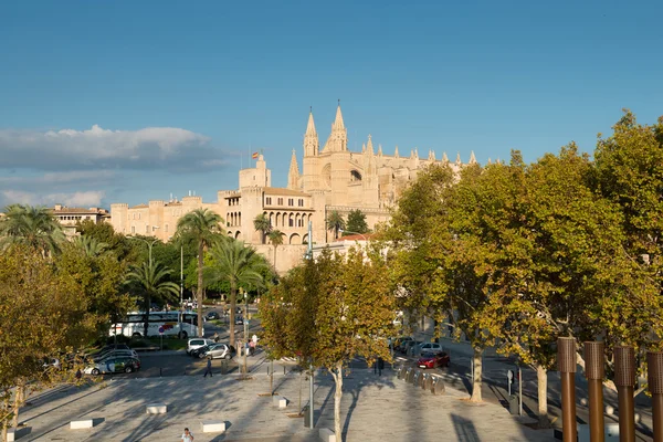 Vista de la Catedral Católica Romana de Palma — Foto de Stock