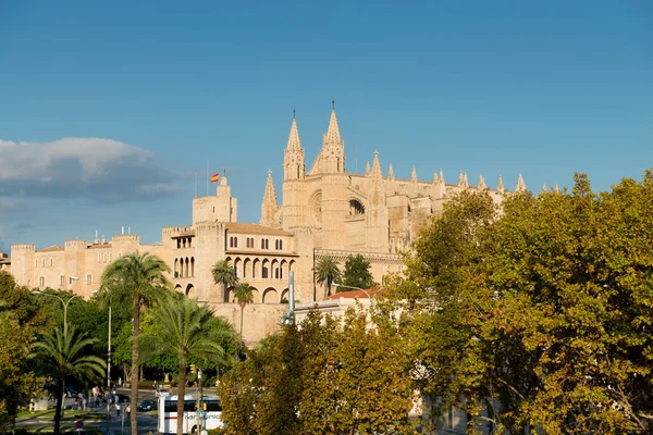 View on the Roman Catholic Cathedral in Palma — Stock Photo, Image