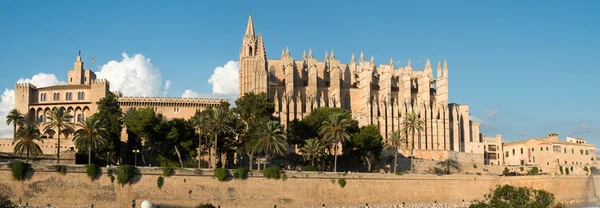 View on the Roman Catholic Cathedral in Palma — Stock Photo, Image