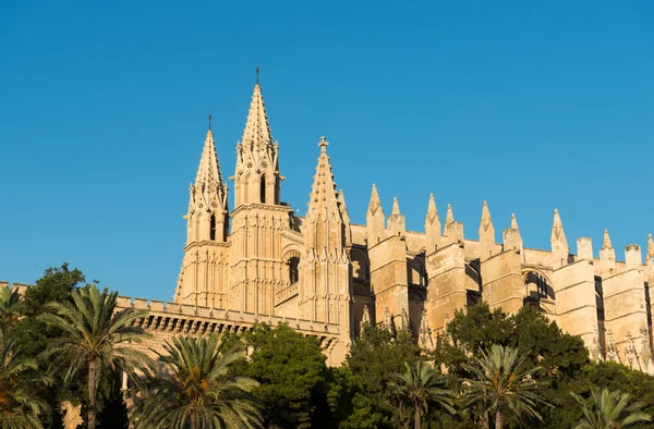 View on the Roman Catholic Cathedral in Palma Royalty Free Stock Images