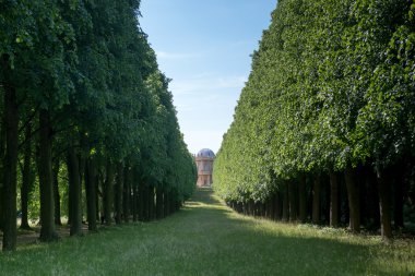 Ağacı Sokağı ve Belvedere Klausberg üzerinde