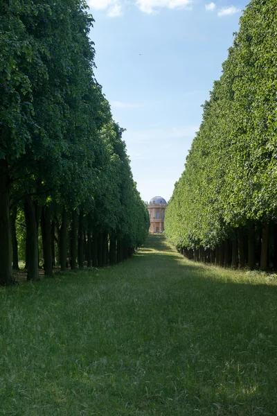 Corsia degli alberi e Belvedere sul Klausberg — Foto Stock