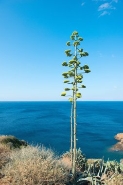 Yunanistan Ege Denizi görüntüleyin