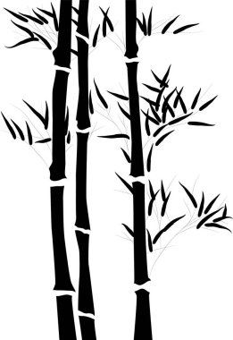 Beyaz arka planda siyah bambu dalı.