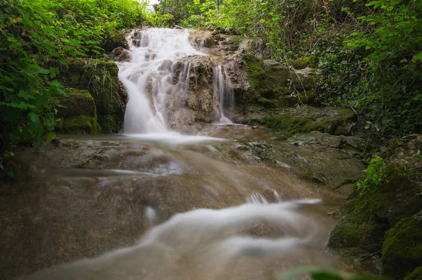 Ormandaki dere. — Stok fotoğraf