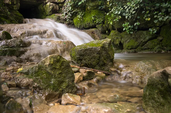 Ormandaki dere. — Stok fotoğraf