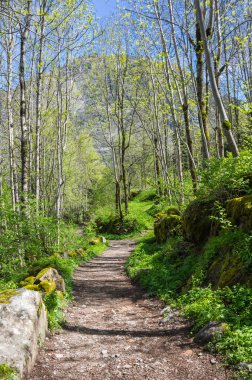 Milli Parkı Ecrins