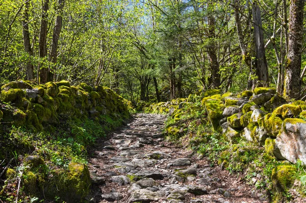 Nationaal park Les Ecrins — Stockfoto