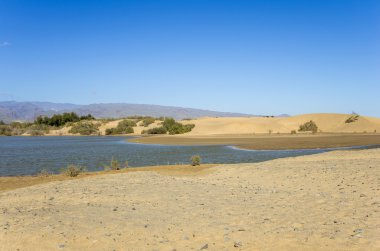 Lagün, Maspalomas