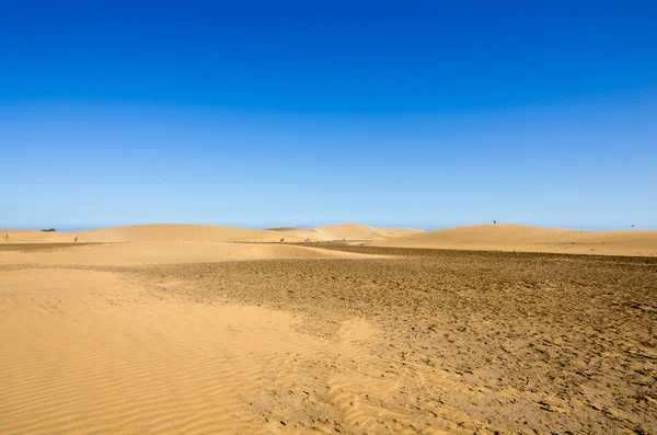 Dunes of Maspalomas — Stock Photo, Image