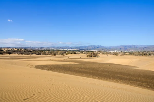 Dunes of Maspalomas — Stock Photo, Image