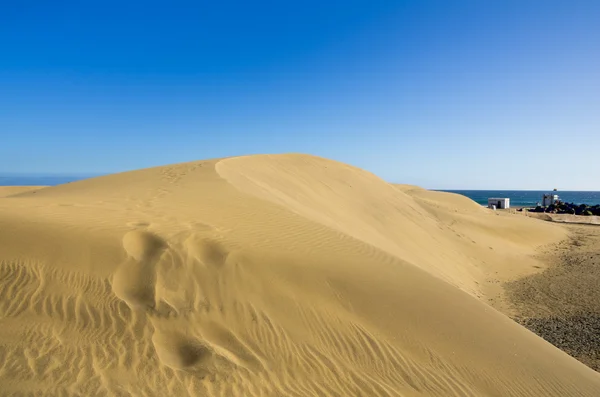 Maspalomas dűnéi — Stock Fotó