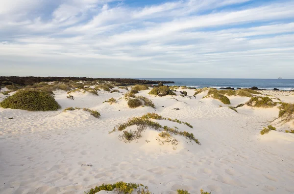 Plage de sable blanc — Photo