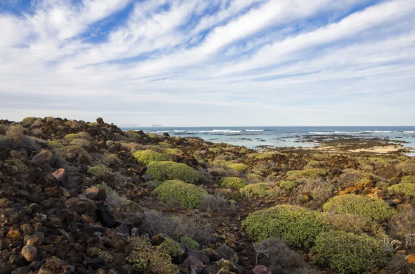 The coast of Lanzarote — Stock Photo, Image