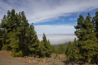 Tenerife, Kanarya Adaları, İspanya