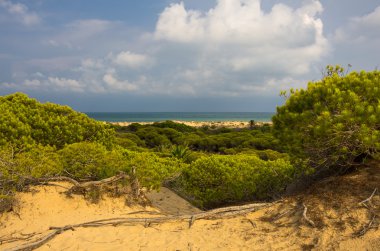 Tepeleri de La Marina