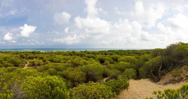 Tepeleri de La Marina