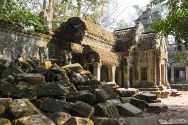 ta prohm Tapınağı