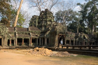 ta prohm Tapınağı