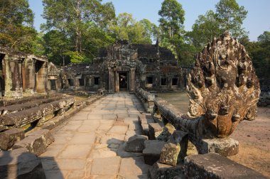 ta prohm Tapınağı