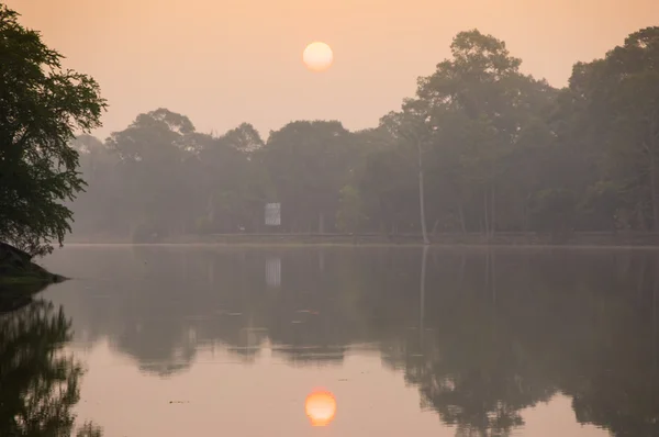 Sonnenaufgang im Dschungel — Stockfoto