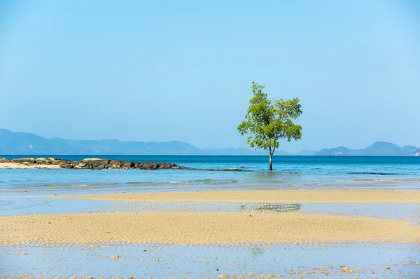 Klong Muang Strand — Stockfoto