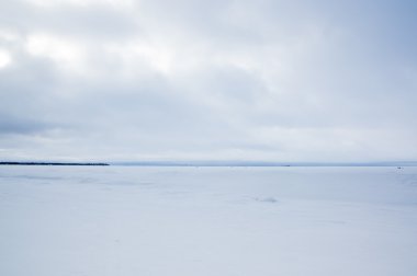 Fince Körfez kışın