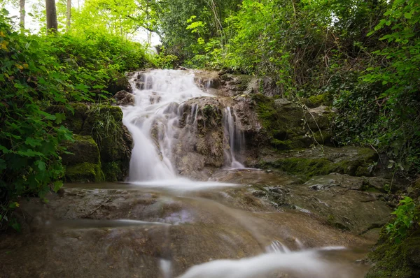 Brook in the forest — Stock Photo, Image