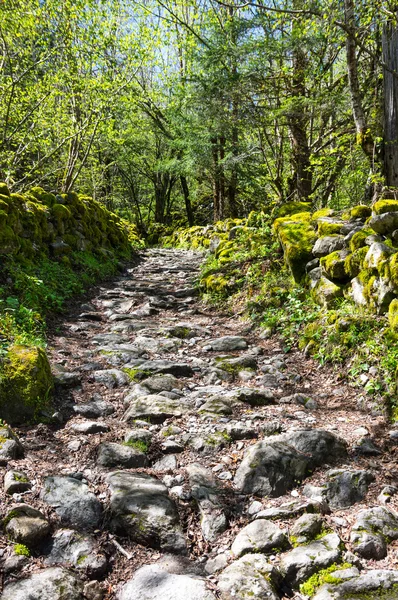 Εθνικό πάρκο Ecrins — Φωτογραφία Αρχείου