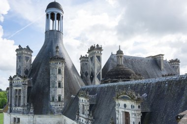 Kraliyet Chateau de Chambord