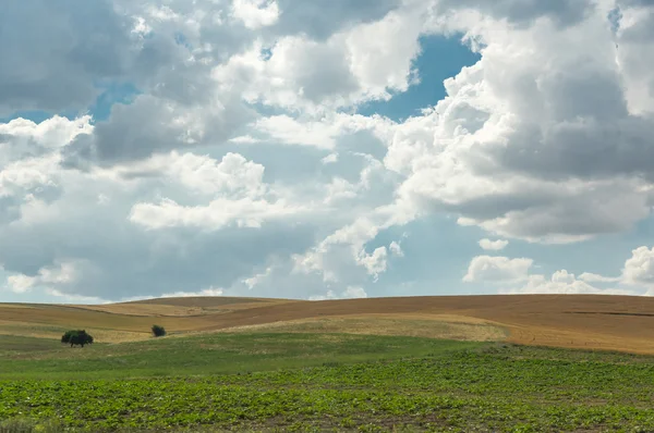 Rural landscape in Cappadocia, Turkey — Stock Photo, Image