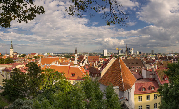 TALLINN - SEPTEMBER 10: Top view on buildings of Old Town on September 10, 2013, TALLINN, ESTONIA. Old Town is listed in the UNESCO World Heritage List