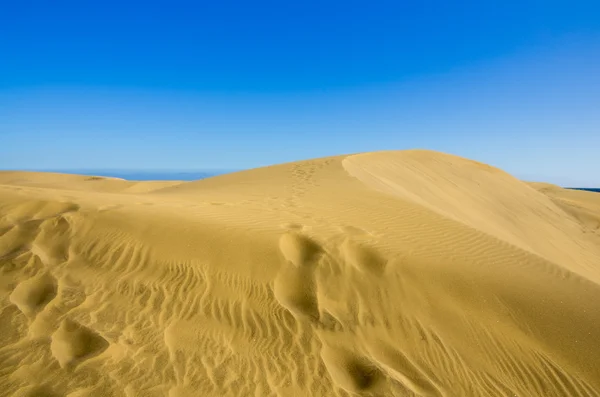 Dunes of Maspalomas — Stock Photo, Image