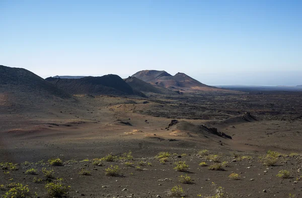 Lanzarote, Kanarya Adaları, İspanya — Stok fotoğraf