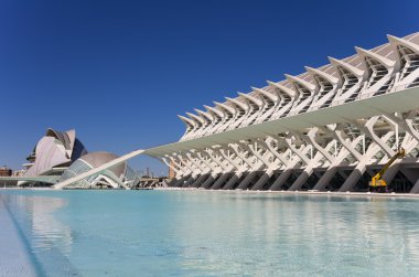 Sanat ve Bilimler kenti