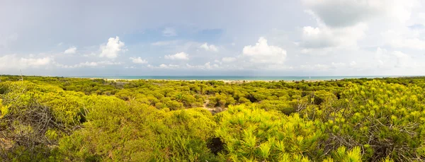 Dunes de La Marina — Stock Photo, Image