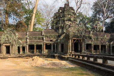 ta prohm Tapınağı