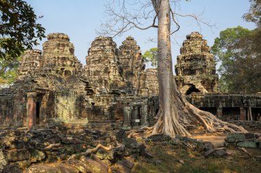 ta prohm Tapınağı