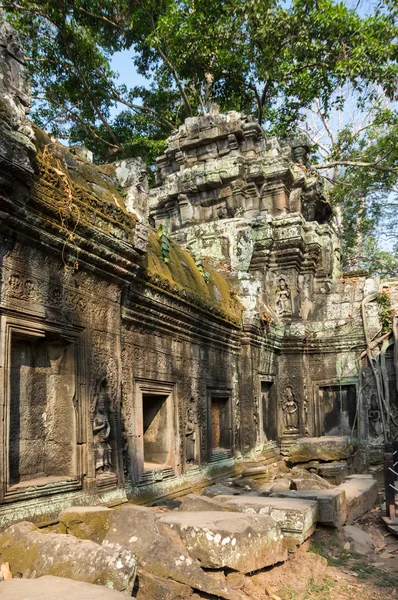 Templo de Ta prohm —  Fotos de Stock