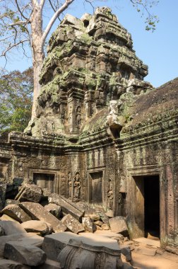 ta prohm Tapınağı