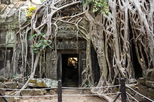 タ ・ プローム寺院 — ストック写真