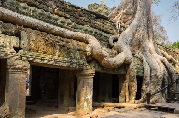 タ ・ プローム寺院 — ストック写真