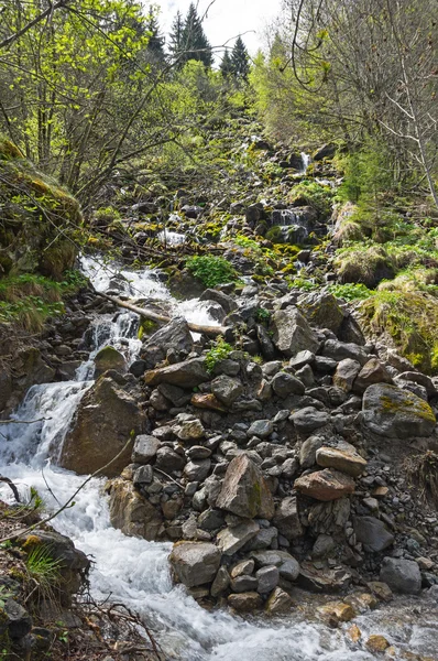 Εθνικό πάρκο Ecrins — Φωτογραφία Αρχείου