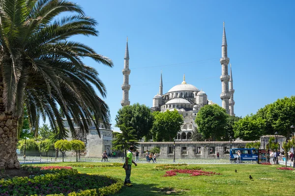 Sultan Ahmed-Moschee — Stockfoto