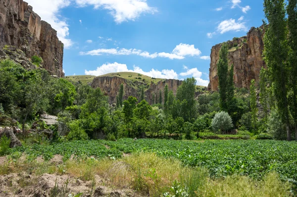 Долина Ихлары в Каппадокии, Турция — стоковое фото