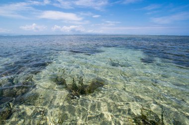 Endonezya 'nın Bali adasındaki Hint Okyanusu kıyısı