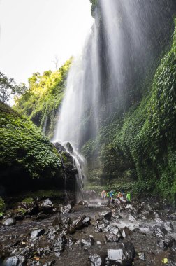 Endonezya 'nın Java adasındaki Madakaripura şelalesinin ana şelalesi