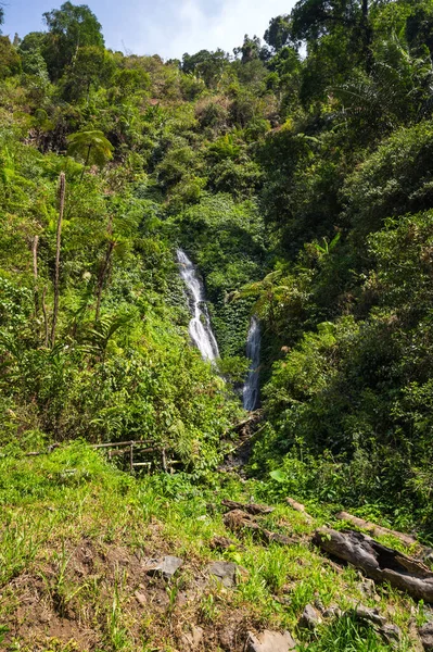 Endonezya Nın Java Adasındaki Tropikal Orman Manzarası — Stok fotoğraf