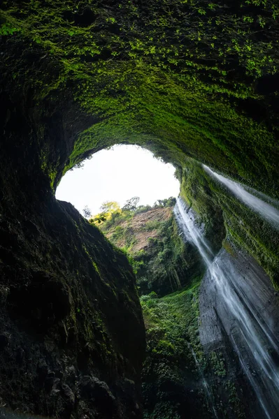 Cascata Principale Madakaripura Cascata Sull Isola Java Indonesia — Foto Stock