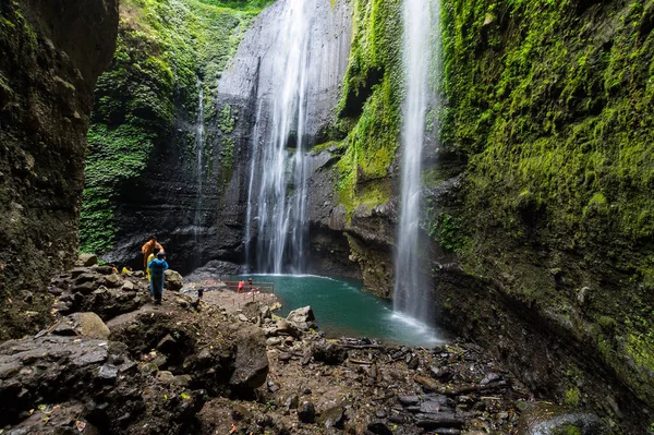 Main Cascade Madakaripura Waterfall Island Java Indonesia — Stock Photo, Image